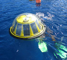 The Value of Environmental Monitoring in Offshore Renewable Energy Developments